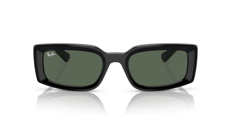 Black - 0RB4395 8056597829304