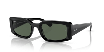 Black - 0RB4395 8056597829304