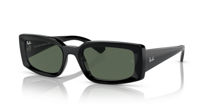 Black - 0RB4395 8056597829304