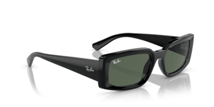 Black - 0RB4395 8056597829304