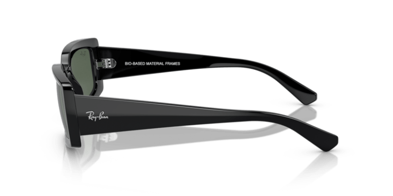 Black - 0RB4395 8056597829304