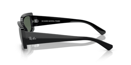 Black - 0RB4395 8056597829304