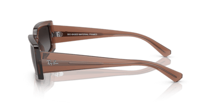 Transparent Brown - 0RB4395 8056597829311