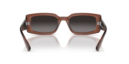 Transparent Brown - 0RB4395 8056597829311