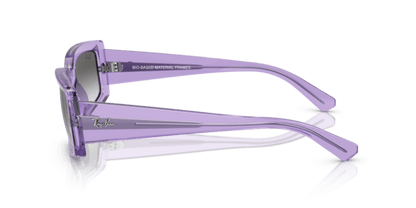 Transparent Violet - 0RB4395 8056597829335