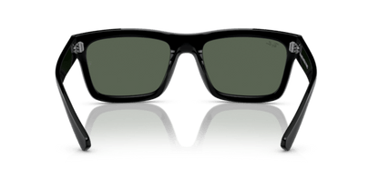 Black - 0RB4396 8056597829120