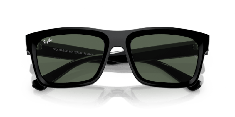 Black - 0RB4396 8056597829120