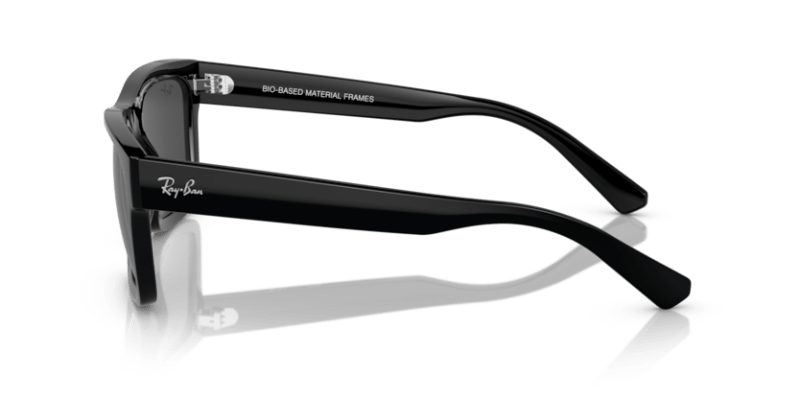 Black - 0RB4396 8056262052150