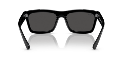 Black - 0RB4396 8056262052150