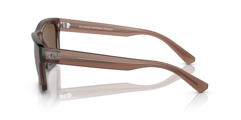 Transparent Brown - 0RB4396 8056262052174