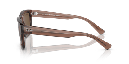 Transparent Brown - 0RB4396 8056262052174