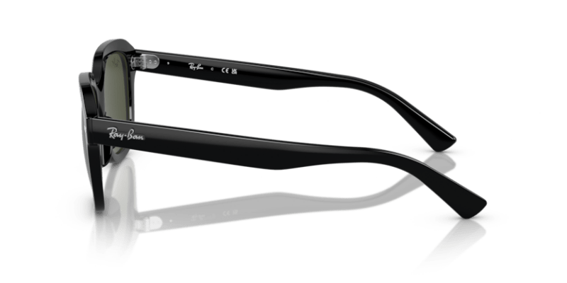 Black - 0RB4398 8056597828864