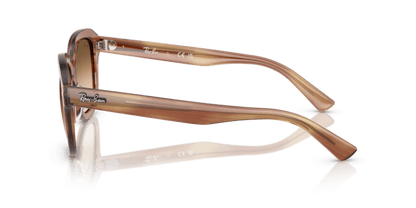 Striped Brown - 0RB4398 8056262301623