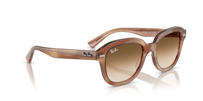 Striped Brown - 0RB4398 8056262301623