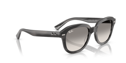 Striped Grey - 0RB4398 8056262301647