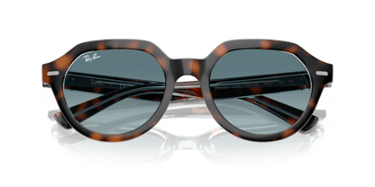 Dark Havana On Multicolour - 0RB4399 8056262301715