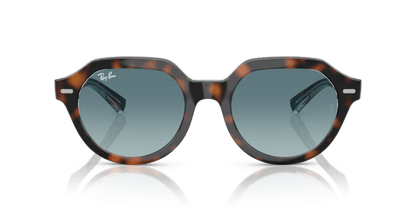 Dark Havana On Multicolour - 0RB4399 8056262301715