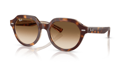 Light Havana On Multicolour - 0RB4399 8056262301739