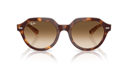 Light Havana On Multicolour - 0RB4399 8056262301739