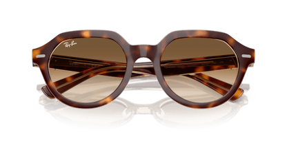 Light Havana On Multicolour - 0RB4399 8056262301739