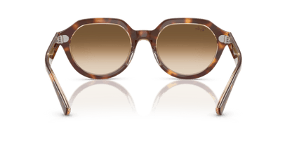 Light Havana On Multicolour - 0RB4399 8056262301739