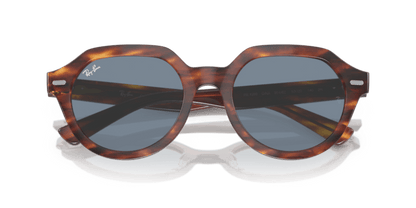 Striped Havana - 0RB4399 8056597829441