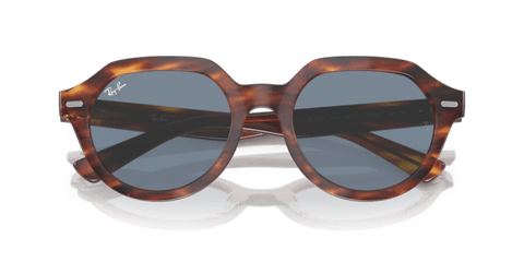 Striped Havana - 0RB4399 8056597829441