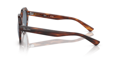 Striped Havana - 0RB4399 8056597829441