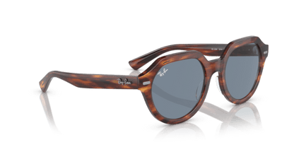 Striped Havana - 0RB4399 8056597829441