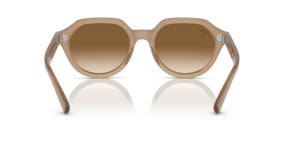 Turtledove - 0RB4399 8056597829366