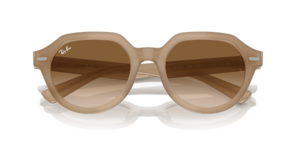 Turtledove - 0RB4399 8056597829366