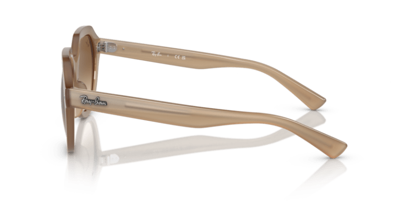 Turtledove - 0RB4399 8056597829366