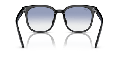 Black - 0RB4401D 8056597846059