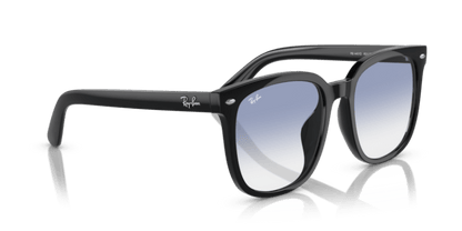 Black - 0RB4401D 8056597846059