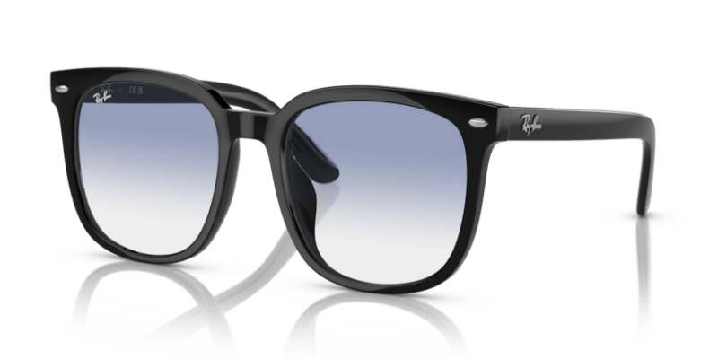 Black - 0RB4401D 8056597846059