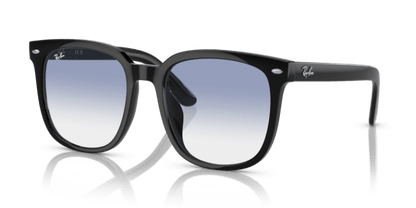 Black - 0RB4401D 8056597846059