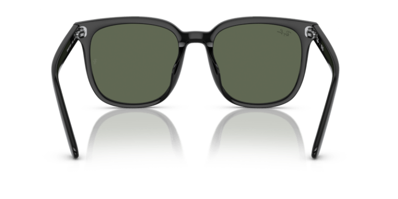 Black - 0RB4401D 8056262281734