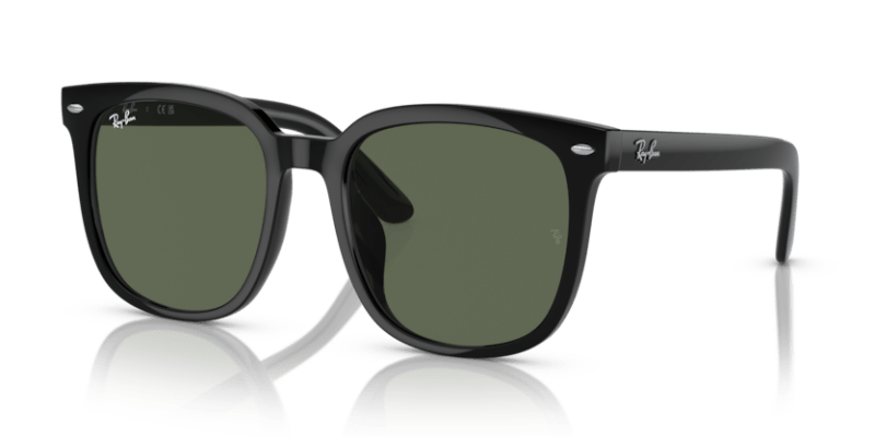 Black - 0RB4401D 8056262281734