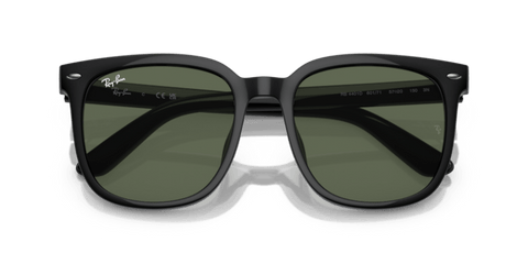 Black - 0RB4401D 8056262281734