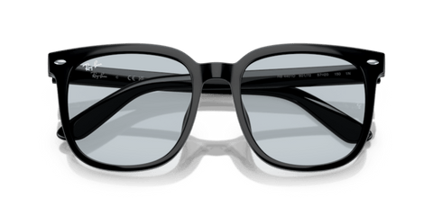 Black - 0RB4401D 8056262301807