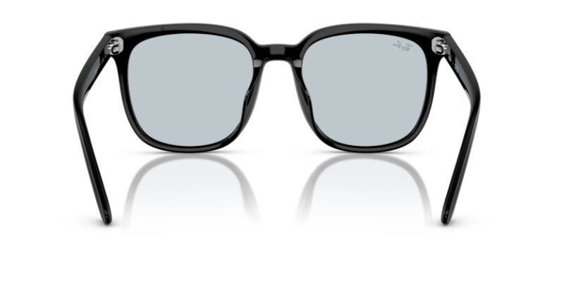 Black - 0RB4401D 8056262301807