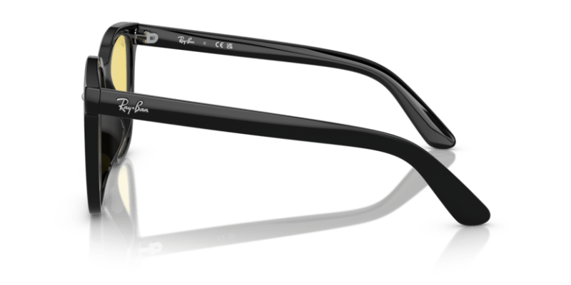 Black - 0RB4401D 8056597846066