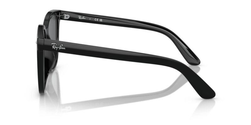 Black - 0RB4401D 8056262281772