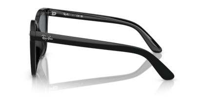 Black - 0RB4401D 8056262281772