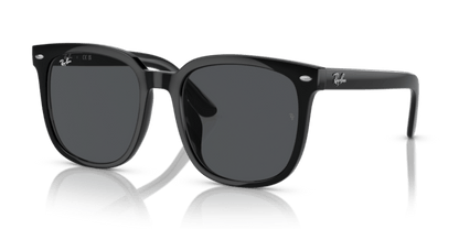 Black - 0RB4401D 8056262281772