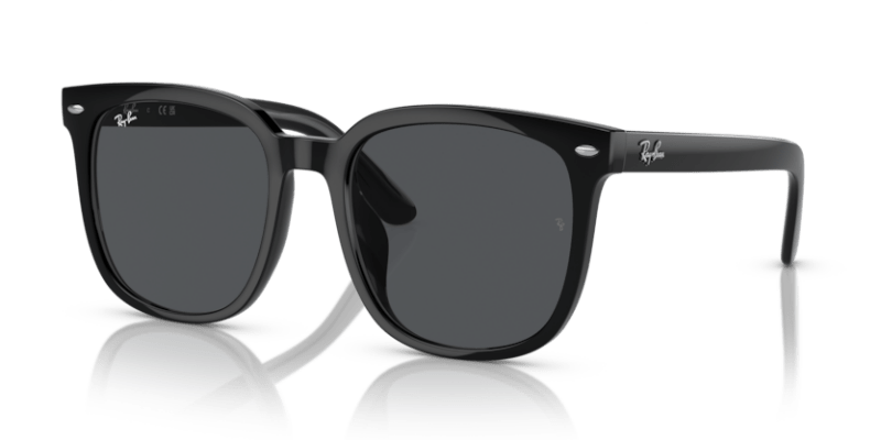 Black - 0RB4401D 8056262281772