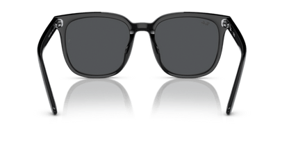 Black - 0RB4401D 8056262281772