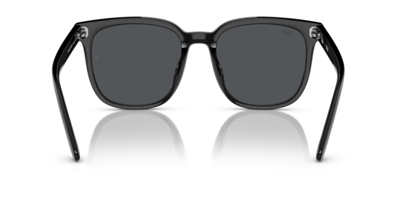 Black - 0RB4401D 8056262281772