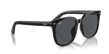 Black - 0RB4401D 8056262281772