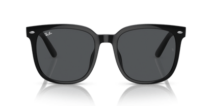 Black - 0RB4401D 8056262281772